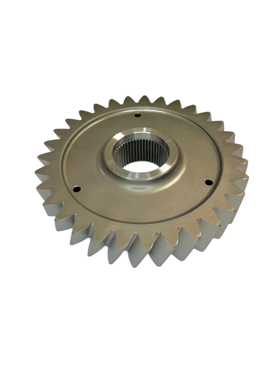 BEYİN GÜNEŞ DİŞLİ KARŞILIĞI