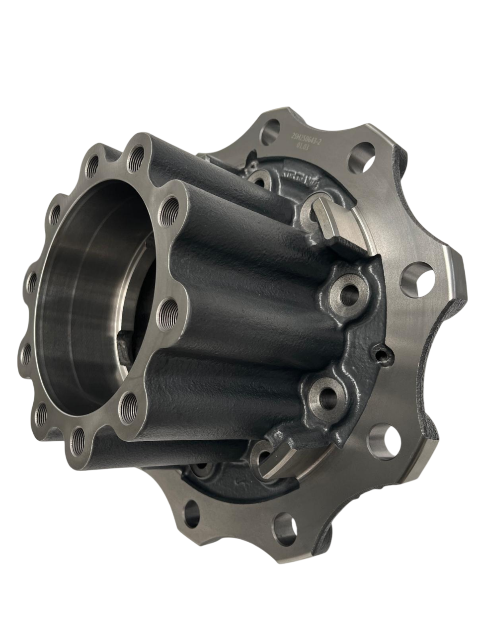 Diskli Diferansiyel Porya